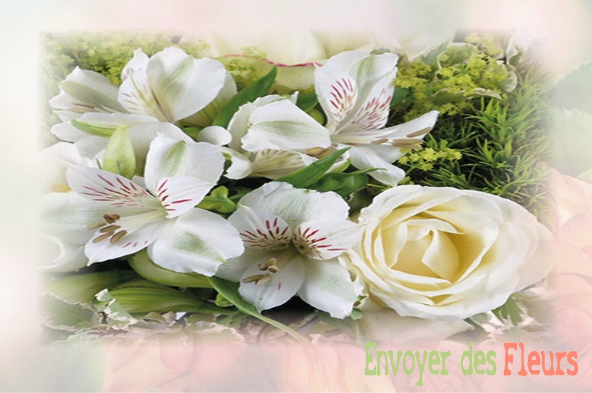 envoyer des fleurs à à SAINT-AMANT-DE-BOIXE